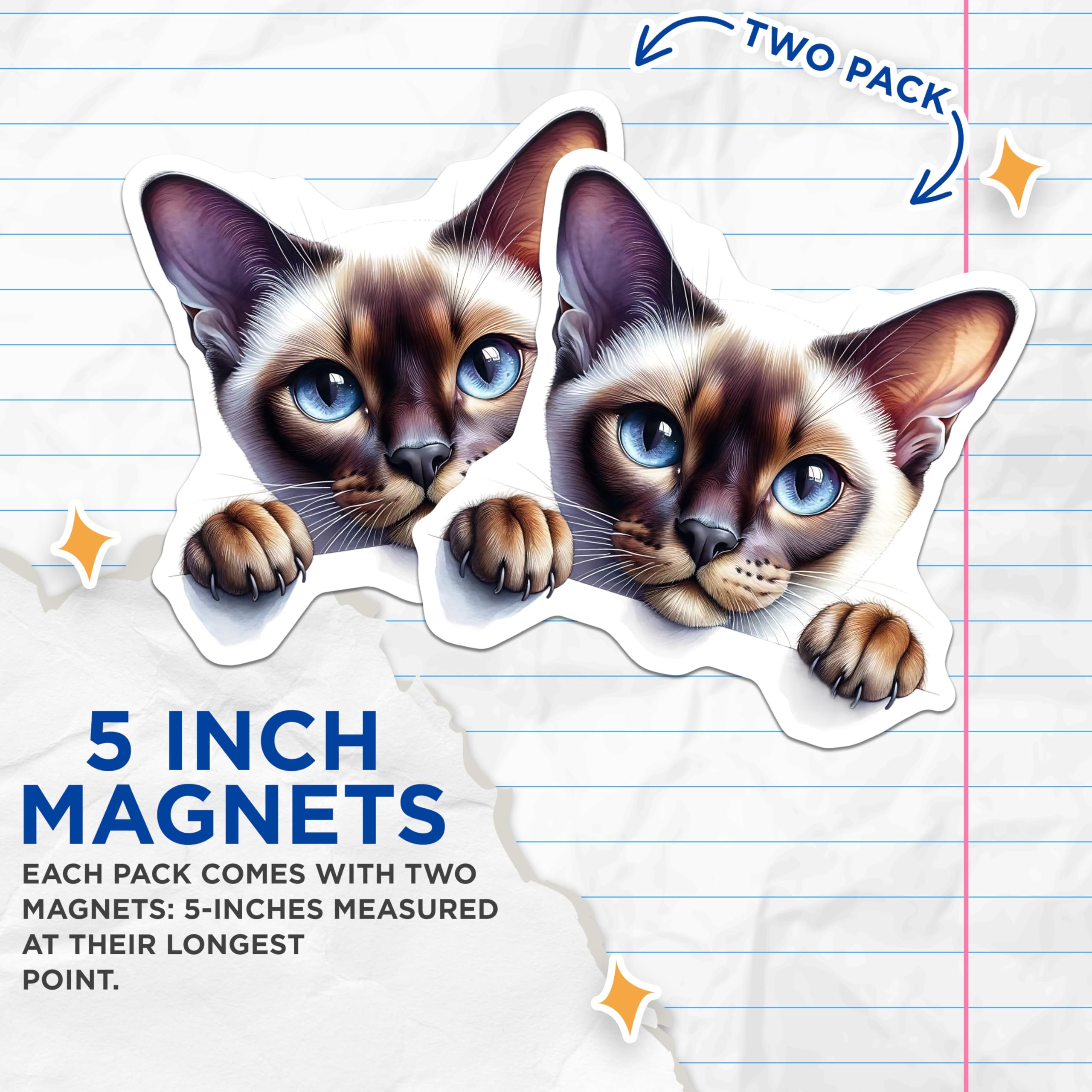 (2 Pack) Siamese Cat Magnets - Fridge Magnets - Cute Cat Decor - 5" On Longest Side - Premium Magnet - for Cars, Refrigerators, Toolboxes, Lockers - Made in USA - MAG15339