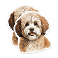 (2 Pack) Havanese Dog Magnets - Adorable Puppy Pet Decor - Cute Animal Fridge Accent - 5 Inches On Longest Side - Thick Durable Magnet - Made in USA - MAG24555