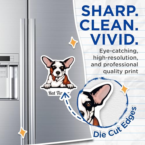 (2 Pack) Rat Terrier Magnets - Cute Dog Magnets - Pet Lover Refrigerator Magnets - 5" On Longest Side - for Cars, Fridges, Toolboxes - Made in USA - MAG4219