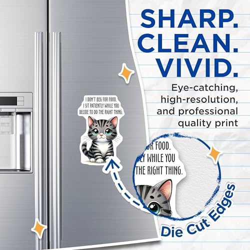 (2 Pack) Cute Cat Quote Magnets - Funny Cat Magnet - Adorable Fridge Magnet Cat Lover Decor - 5" On Longest Side - for Cars, Refrigerators, Toolboxes, Lockers - Made in USA BMCS3128