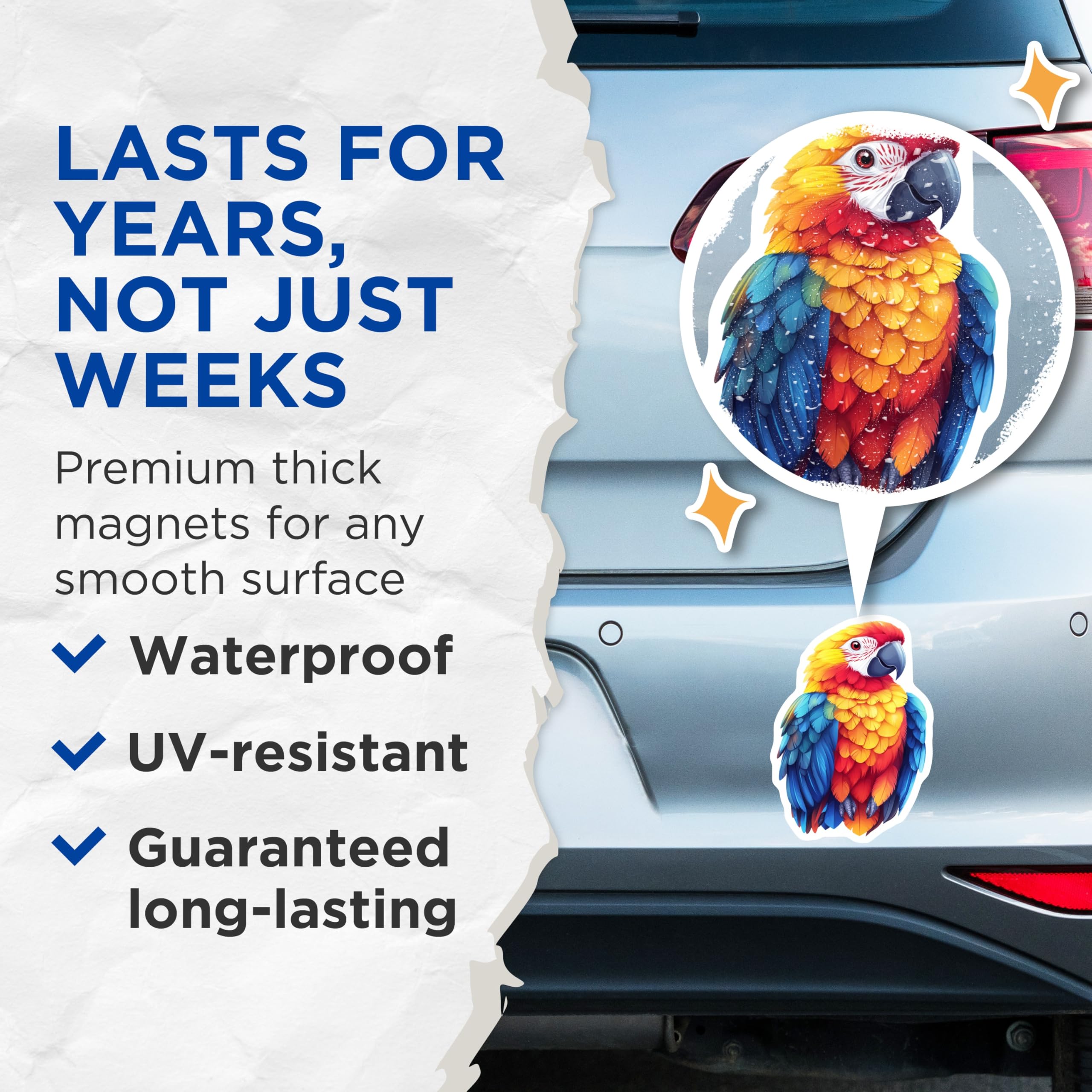 (2 Pack) Scarlet Macaw Magnets - Tropical Bird Art - Vibrant Home Decor - 5 Inches On Longest Side - Thick Durable Magnet - Made in USA - MAG25265