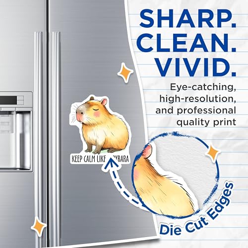 (2 Pack) Keep Calm Like Capybara Magnets - Cute Capybara Art Magnets - Motivational Animal Magnets - 5" On Longest Side - for Cars, Refrigerators, Toolboxes, Lockers - Made in USA BMCS3259