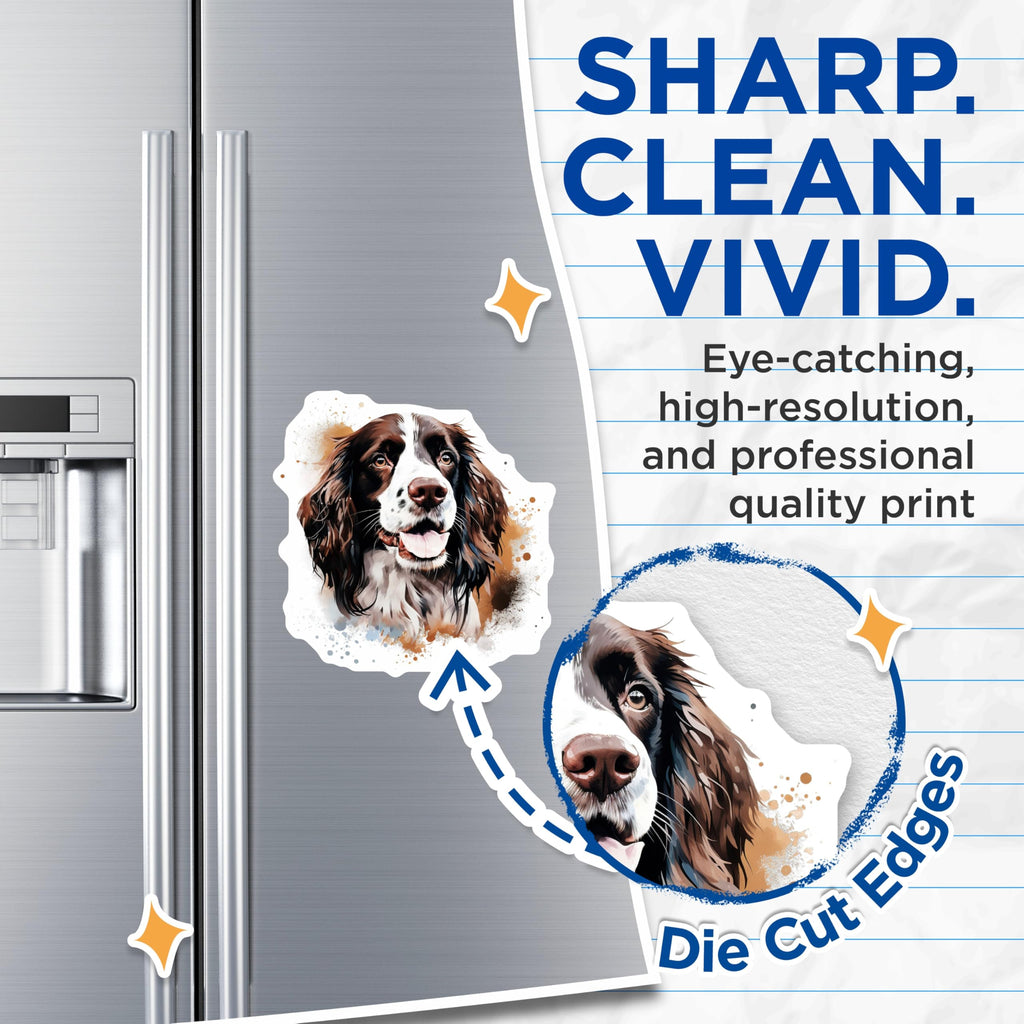 (2 Pack) Springer Spaniel Magnets - Dog Lover Pet Portrait - Watercolor Animal Fridge Magnets - 5 Inches On Longest Side - Thick Durable Magnet - Made in USA - MAG30228