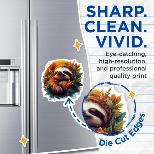 (2 Pack) Adorable Tranquil Sleeping Sloth Magnets - Vibrant Tropical Leaves Design - Whimsical Nature Forest Critter Art - 5 Inches On Longest Side - Thick Durable Magnet - Made in USA - MAG24662