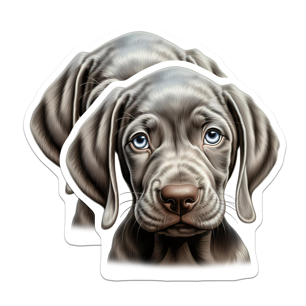 (2 Pack) Weimaraner Puppy Magnets - Adorable Blue Eyed Dog Decor - Unique Canine Art Refrigerator Kitchen Locker Accent - 5 Inches On Longest Side - Thick Durable Magnet - Made in USA - MAG23757