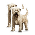 (2 Pack) Soft Coated Wheaten Terrier Magnets - Dog Lover Kitchen Decor - Pet Parent Refrigerator Magnet Set - 5 Inches On Longest Side - Thick Durable Magnet - Made in USA - MAG28784