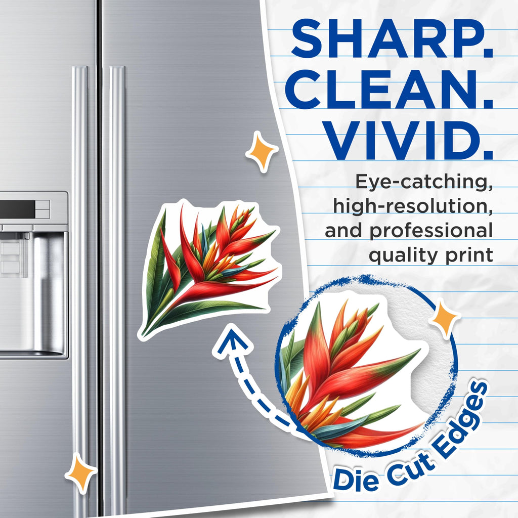 (2 Pack) Bird of Paradise Magnets - Tropical Flower Decor - Exotic Floral Fridge - 5 Inches On Longest Side - Thick Durable Magnet - Made in USA - MAG20876