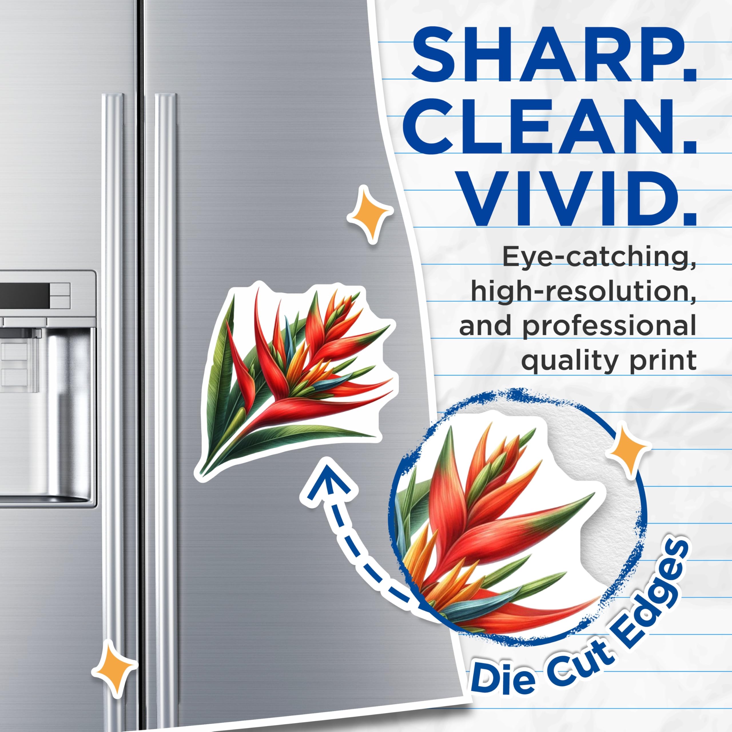 (2 Pack) Bird of Paradise Magnets - Tropical Flower Decor - Exotic Floral Fridge - 5 Inches On Longest Side - Thick Durable Magnet - Made in USA - MAG20876