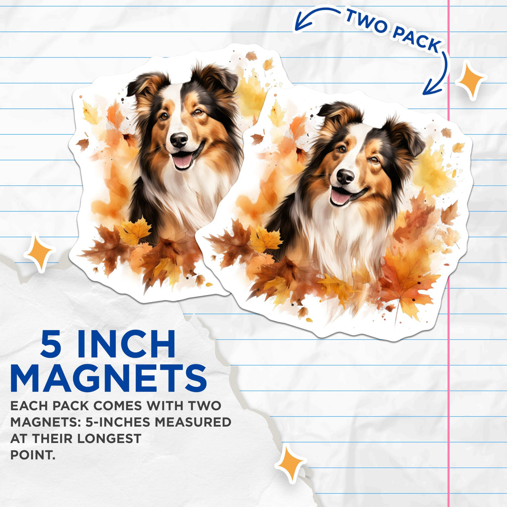 (2 Pack) Shetland Sheepdog Magnets - Watercolor Fall Decor - Pet Parent Kitchen Art - 5 Inches On Longest Side - Thick Durable Magnet - Made in USA - MAG29478