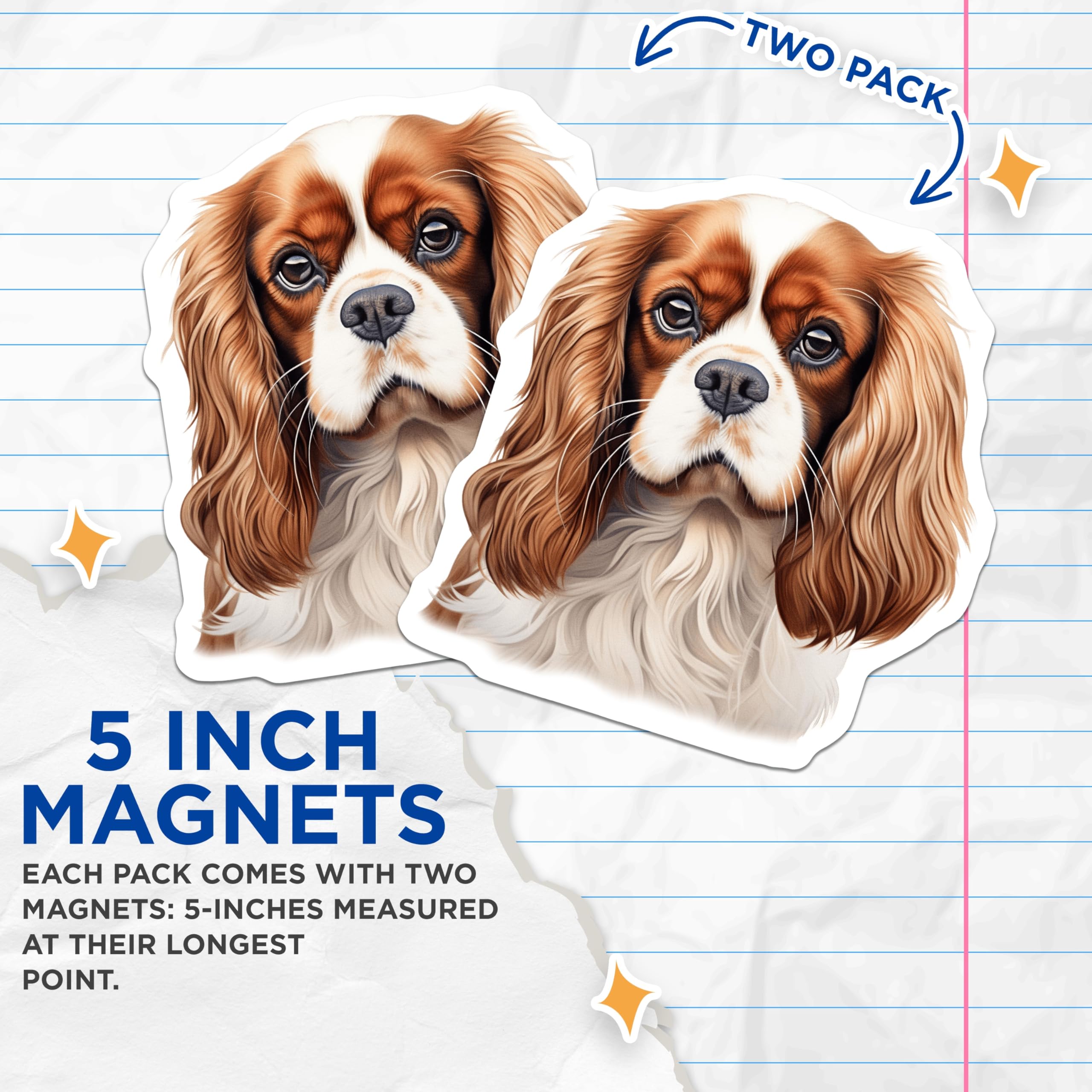 (2 Pack) Cavalier King Charles Spaniel Magnets - Dog Lover Decor - Pet Breed Art Fridge - 5 Inches On Longest Side - Thick Durable Magnet - Made in USA - MAG25186