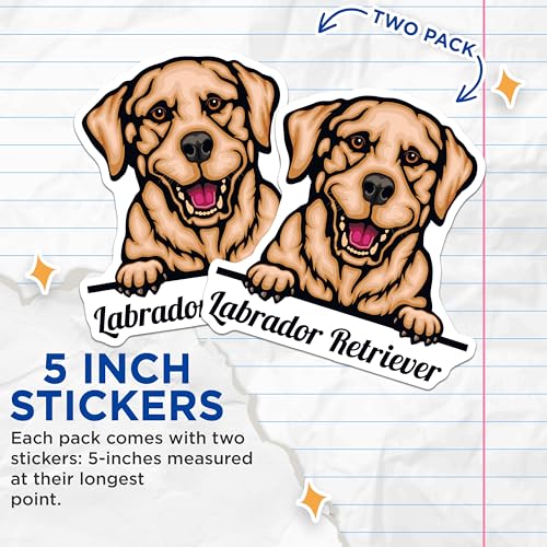 (2 Pack) Labrador Retriever Stickers - Cute Dog Lover Stickers - Animal Decals for Pet Owners and Dog Fans - 5" On Longest Side - Sticks to Smooth Flat Surfaces - Made in USA - BMCS4216
