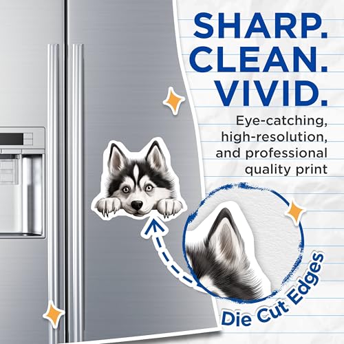 (2 Pack) Cute Husky Art for Fridge Magnet - 5" On Longest Side - Sticks to Smooth Flat Surfaces - Made in USA - MAG10279