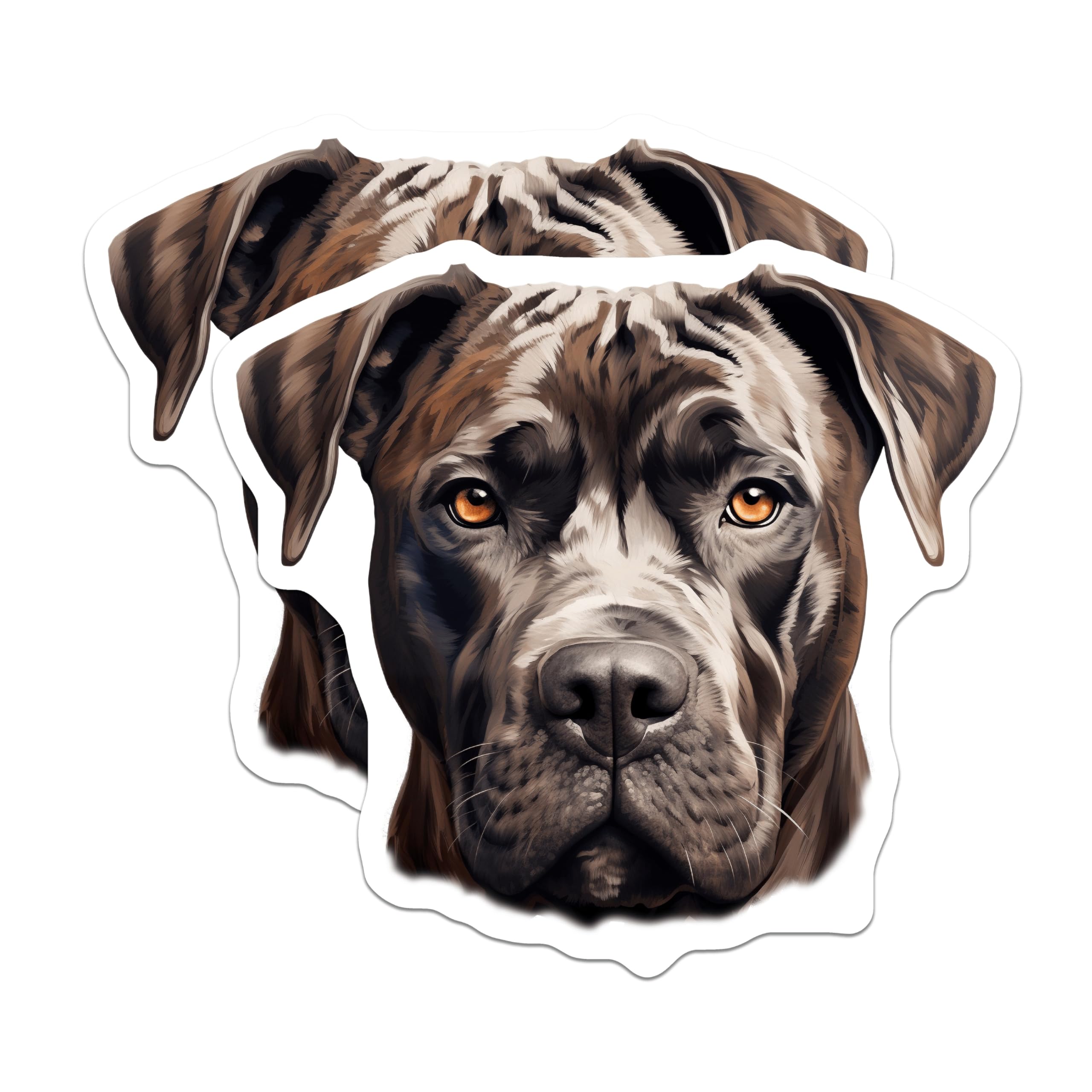 (2 Pack) Cane Corso Magnets - Powerful Dog Lover Decor - Pet Owner Kitchen Art - 5 Inches On Longest Side - Thick Durable Magnet - Made in USA - MAG24952