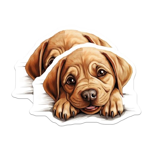 (2 Pack) Animal Kitchen Decor Magnet - 5" On Longest Side - Sticks to Smooth Flat Surfaces - Made in USA - MAG10210