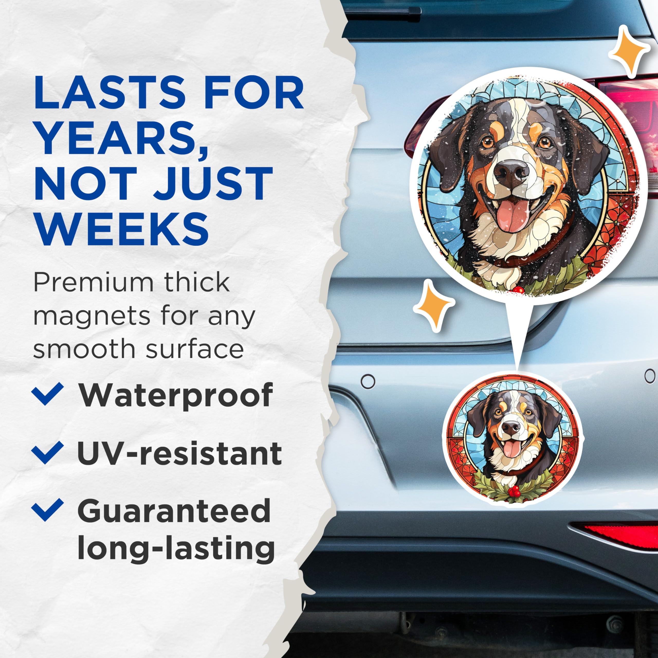 (2 Pack) Bernese Mountain Dog Magnets - Stained Glass Art - Christmas Holiday Decor for Berner Owners - 5 Inches On Longest Side - Thick Durable Magnet - Made in USA - MAG28372