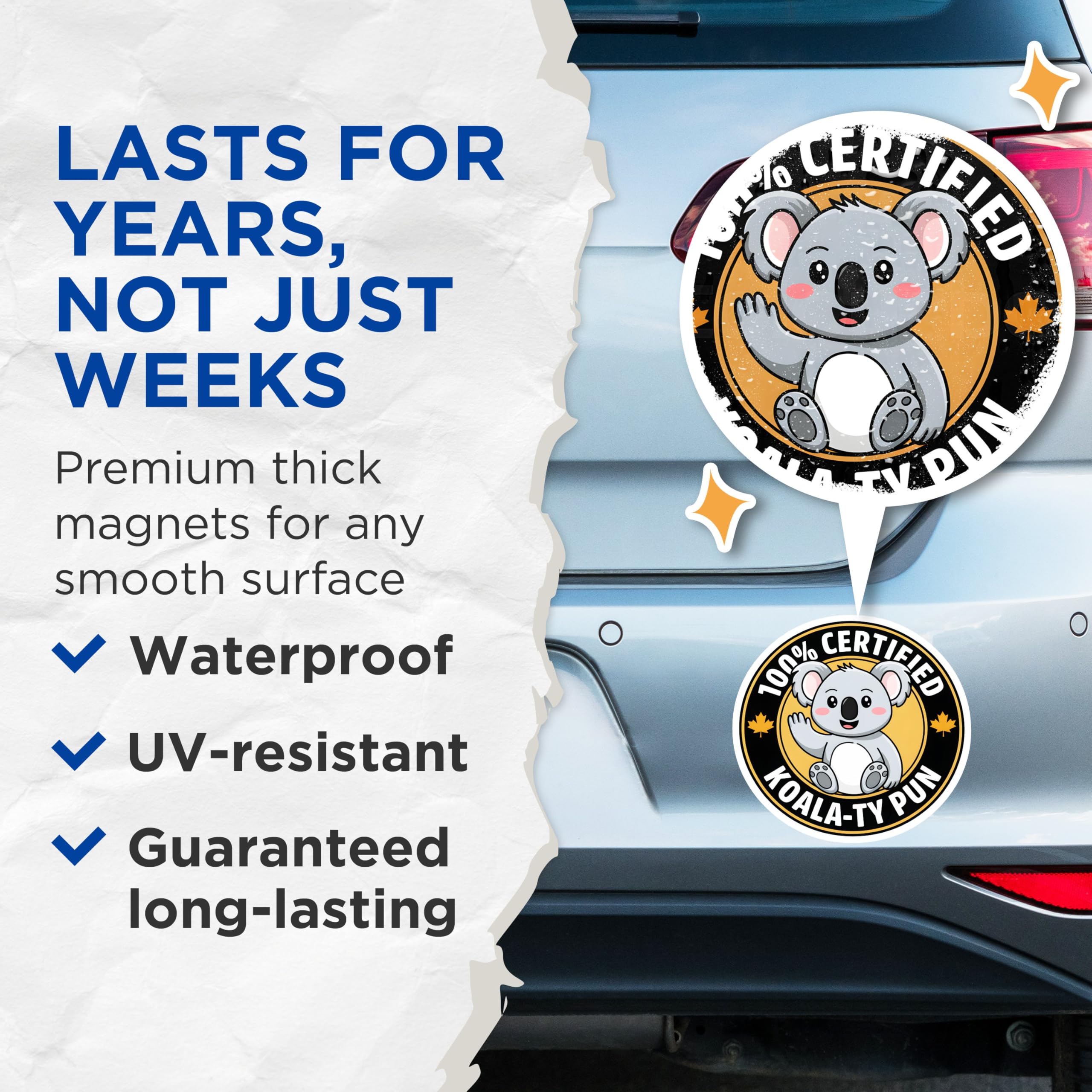(2 Pack) 100% Certified Koala-Ty Pun Magnets - Cute Animal Magnet - Fun Fridge - 5" On Longest Side - for Cars, Fridges, Toolboxes - Made in USA - MAG3762