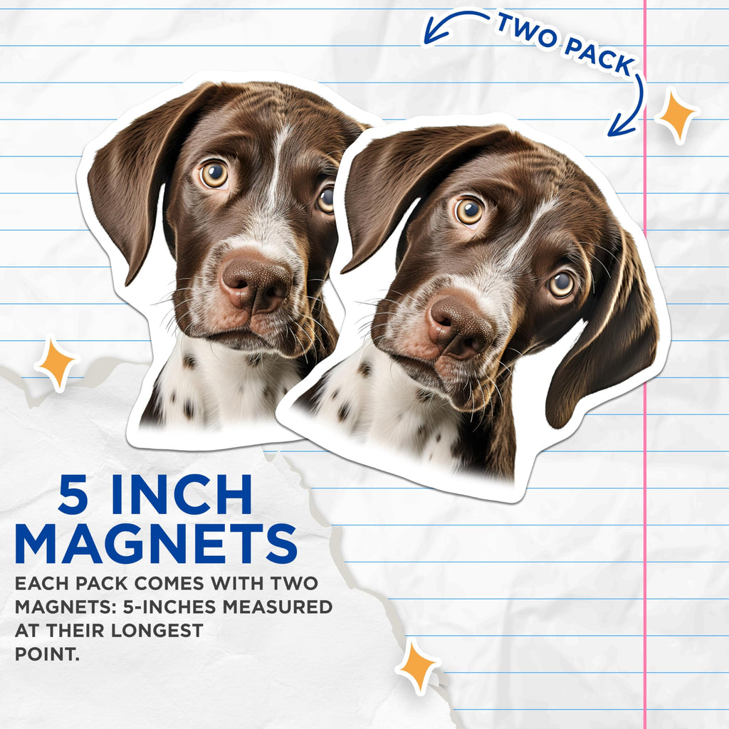 (2 Pack) Curious Puppy Magnets - Brown White Pointer Dog - Head Tilt Adorable Pet Decor - Kitchen Fridge Office - 5 Inches On Longest Side - Thick Durable Magnet - Made in USA - MAG24980