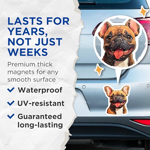 (2 Pack) French Bulldog Magnets - Dog Lover Gift - Cute Animal Prints for Fridge - 5" On Longest Side - for Cars, Fridges, Toolboxes - Made in USA - MAG3945