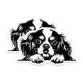 (2 Pack) Cavalier King Charles Spaniel Magnets - Dog Lover Decor - Pet Owner Fridge Magnet - Puppy Art Locker Whiteboard Animal Decor - 5" - Thick Durable Magnet - Made in USA - MAG39704