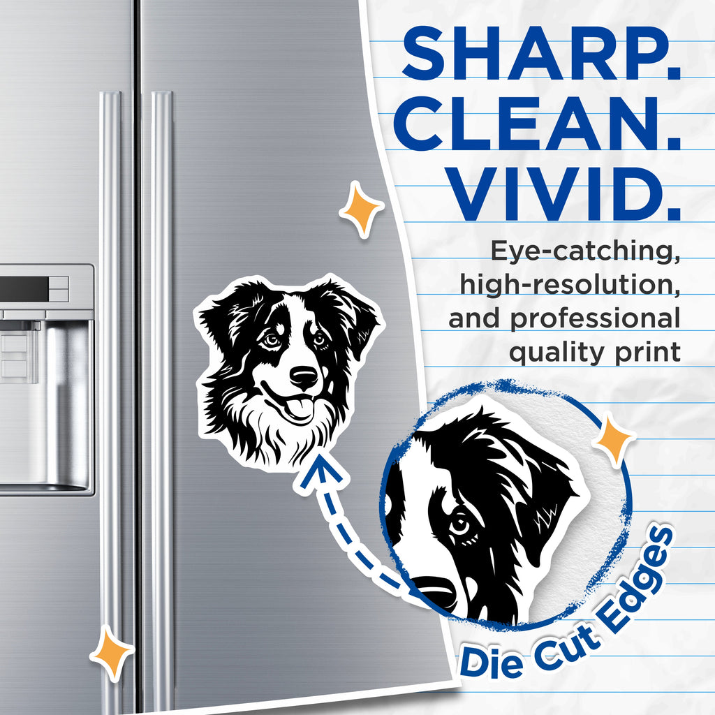 (2 Pack) Australian Shepherd Magnets - Aussie Dog Breed Art - Pet Owner Refrigerator Decor - Animal Lover Canine Merch - 5 Inches On Longest Side - Thick Durable Magnet - Made in USA - MAG36604