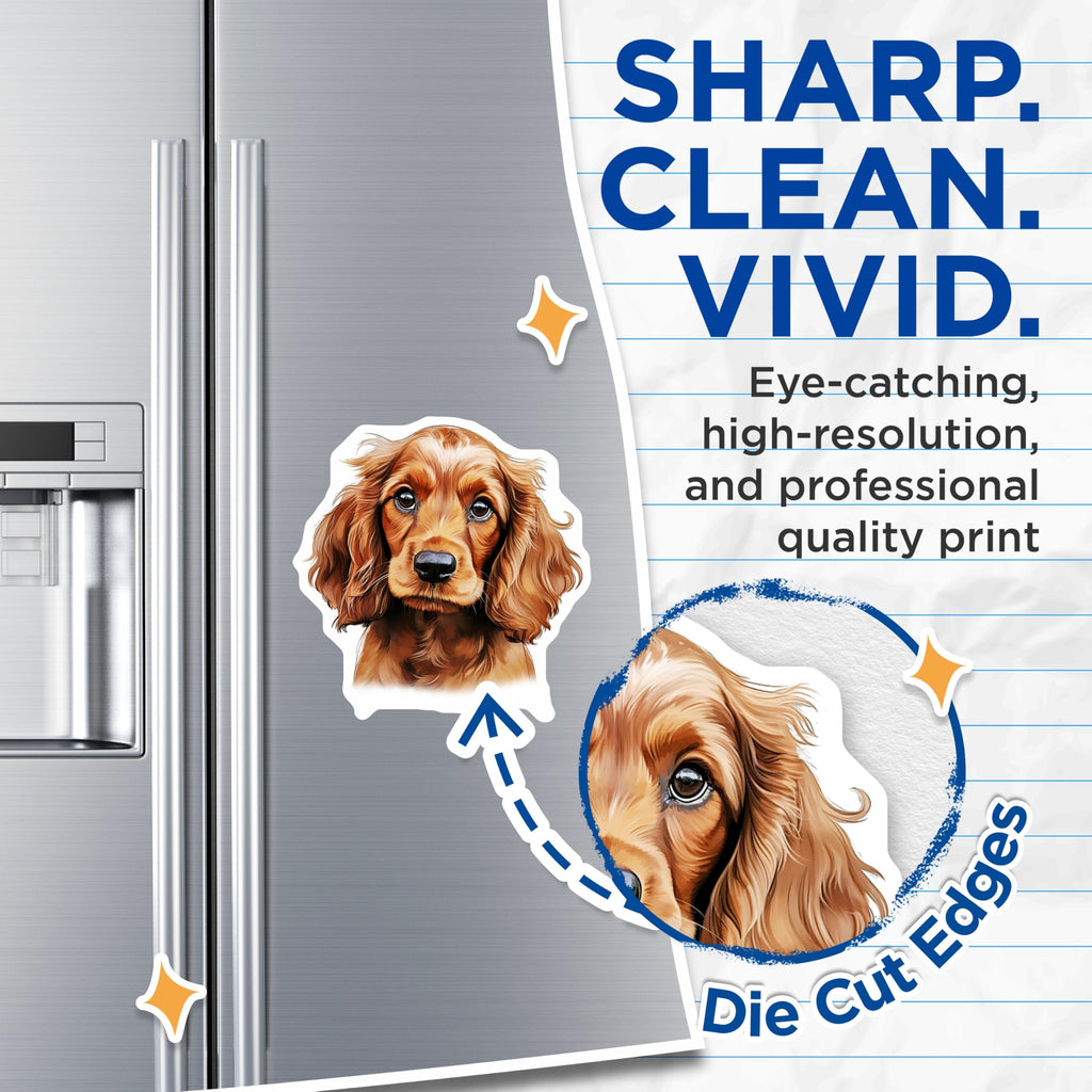 (2 Pack) Cocker Spaniel Magnets - Cute Puppy Dog Art - Pet Lover Refrigerator Decor - 5 Inches On Longest Side - Thick Durable Magnet - Made in USA - MAG27718
