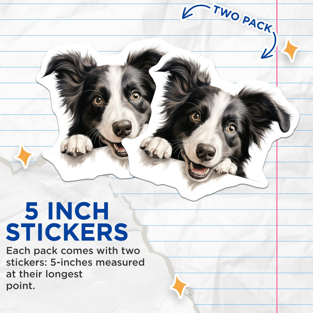 (2 Pack) Border Collie Dog Stickers - Cute Dog Decal - Pet Enthusiast Gift Sticker - 5" On Longest Side - Sticks to Smooth Flat Surfaces - Made in USA - BMCS9881