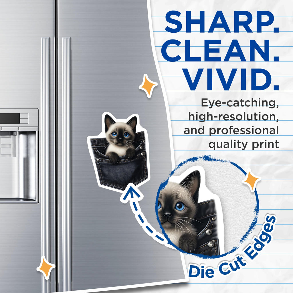 (2 Pack) Siamese Kitten Magnets - Cute Pocket Cat - Refrigerator Decor - 5" On Longest Side - Premium Magnet - for Cars, Refrigerators, Toolboxes, Lockers - Made in USA - MAG14489