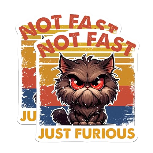 (2 Pack) Not Fast Just Furious Stickers - Cute Cat Illustration - Funny Cat Lover Decal - 5" On Longest Side - Sticks to Smooth Flat Surfaces - Made in USA - BMCS7342