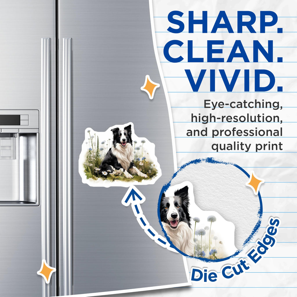 (2 Pack) Border Collie Dog Magnets - Happy Dog Breed Artwork - Pet Lover Fridge Decor - 5 Inches On Longest Side - Thick Durable Magnet - Made in USA - MAG28975