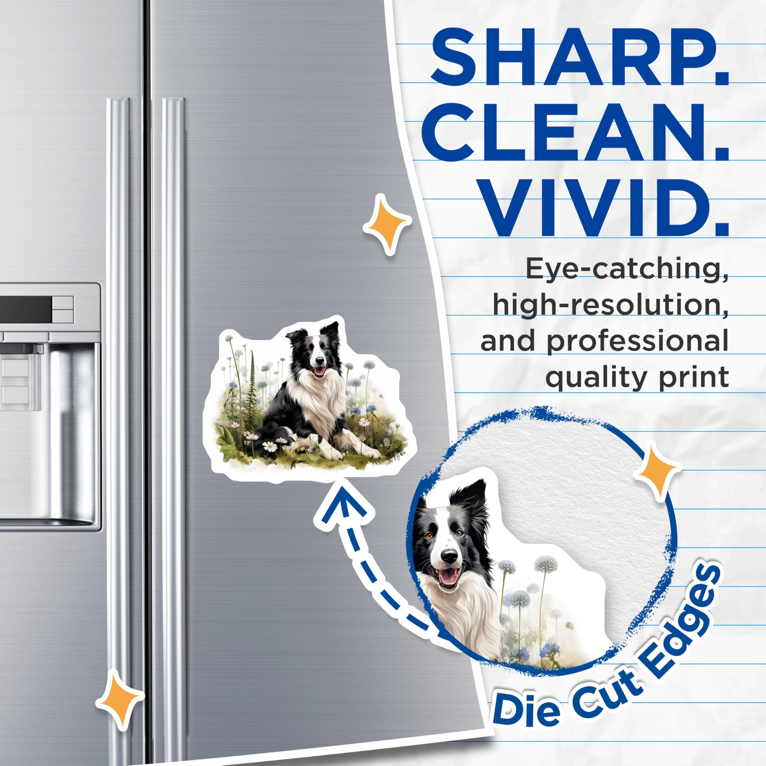 (2 Pack) Border Collie Dog Magnets - Happy Dog Breed Artwork - Pet Lover Fridge Decor - 5 Inches On Longest Side - Thick Durable Magnet - Made in USA - MAG28975