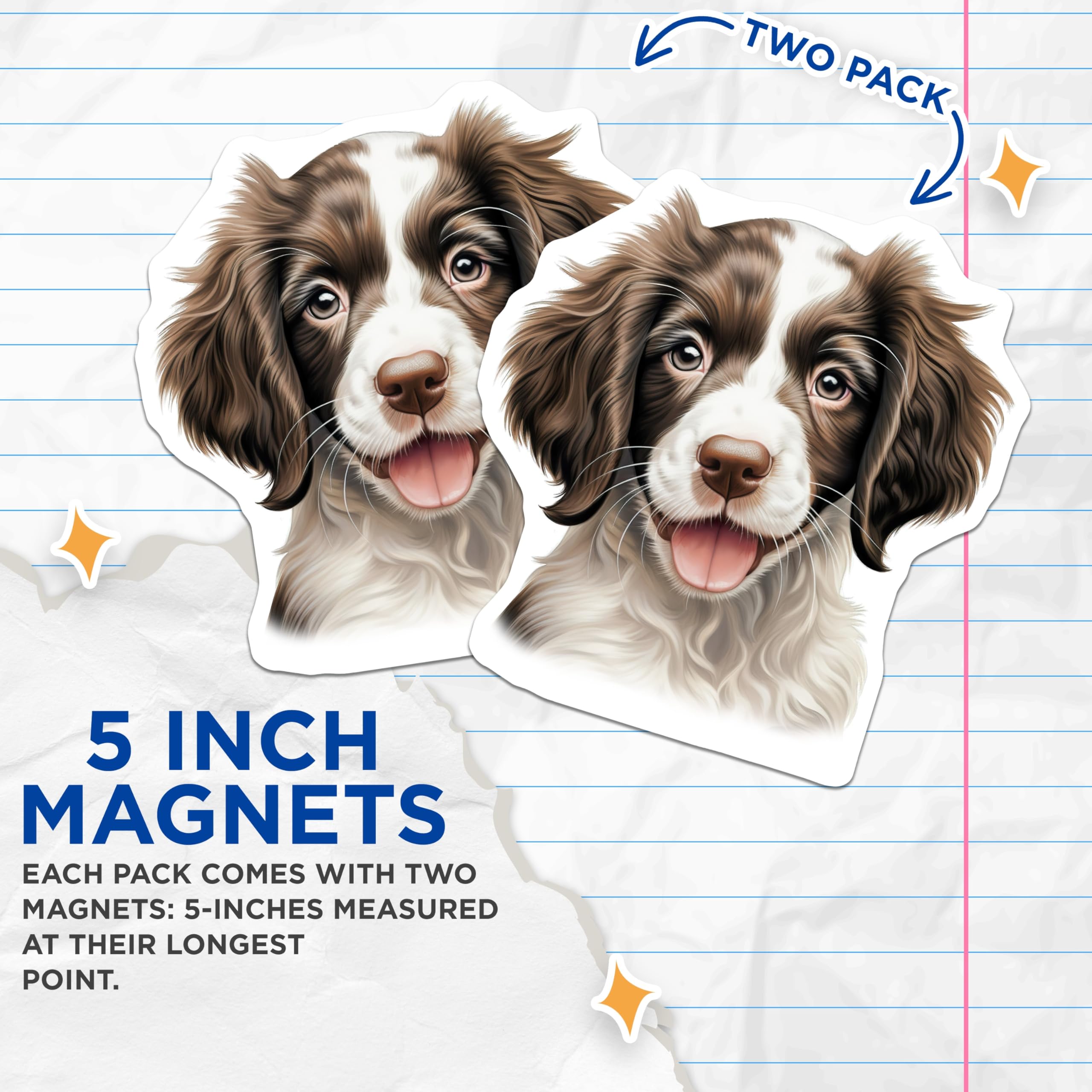 (2 Pack) Springer Spaniel Puppy Magnets - Dog Lover Decor - Happy Puppy Home Kitchen Accessories - 5 Inches On Longest Side - Thick Durable Magnet - Made in USA - MAG26180