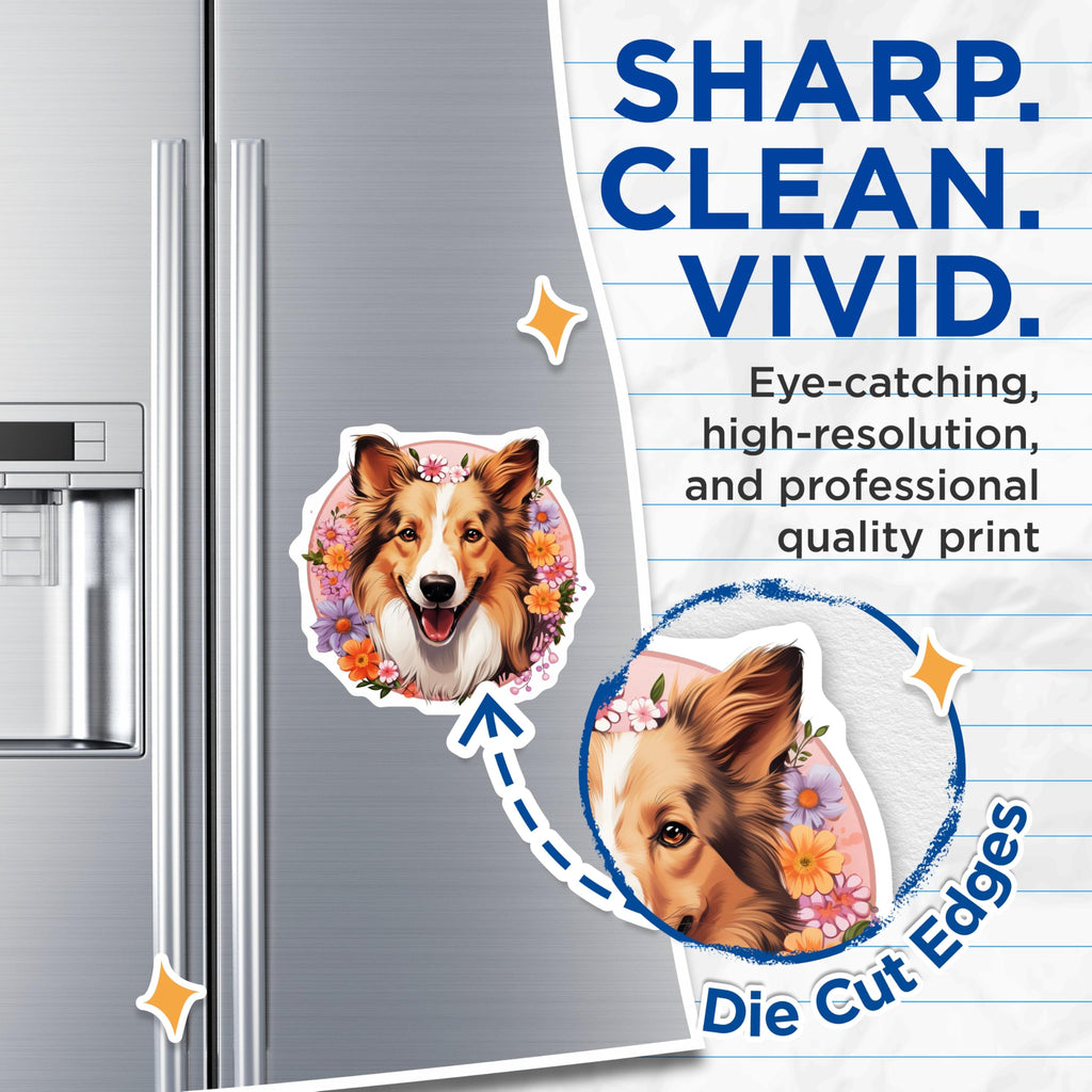 (2 Pack) Sheltie Collie Dog Magnets - Happy Pet Lover Decor - Floral Animal Art Accessory - 5 Inches On Longest Side - Thick Durable Magnet - Made in USA - MAG25553