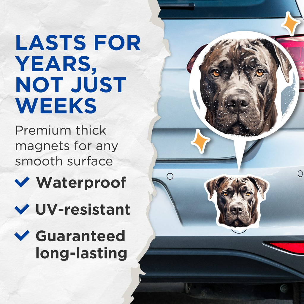 (2 Pack) Cane Corso Magnets - Powerful Dog Lover Decor - Pet Owner Kitchen Art - 5 Inches On Longest Side - Thick Durable Magnet - Made in USA - MAG24952