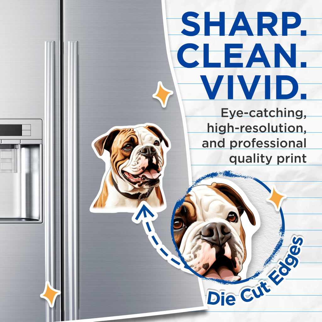 (2 Pack) American Bulldog Magnets - Dog Lover Decor - Pet Parent Refrigerator Accessories - Breed Enthusiast Items - 5 Inches On Longest Side - Thick Durable Magnet - Made in USA - MAG30454
