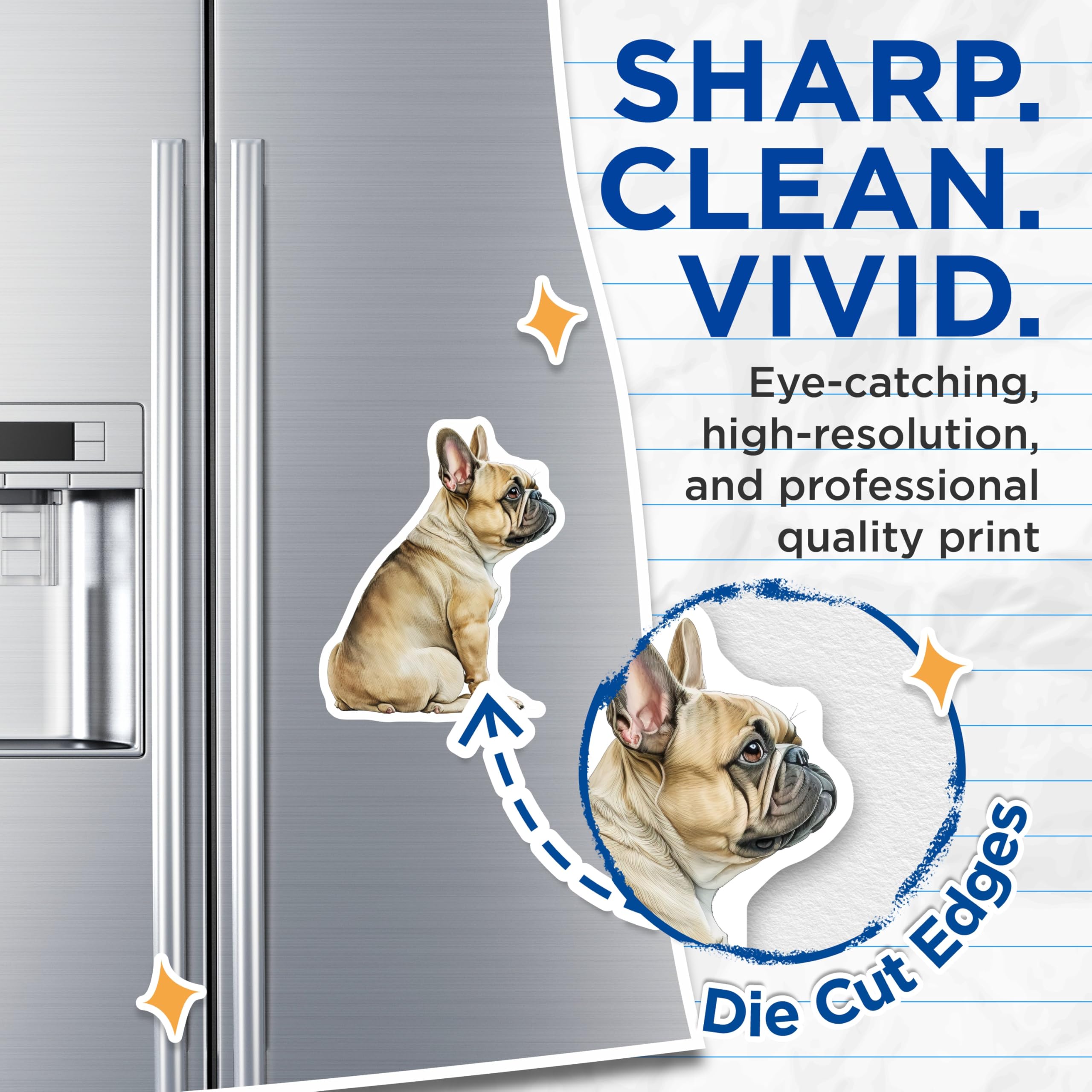 (2 Pack) French Bulldog Magnets - Dog Breed Magnet - Cute Bulldog Home Decor - 5" On Longest Side - Premium Magnet - for Cars, Refrigerators, Toolboxes, Lockers - Made in USA - MAG14253