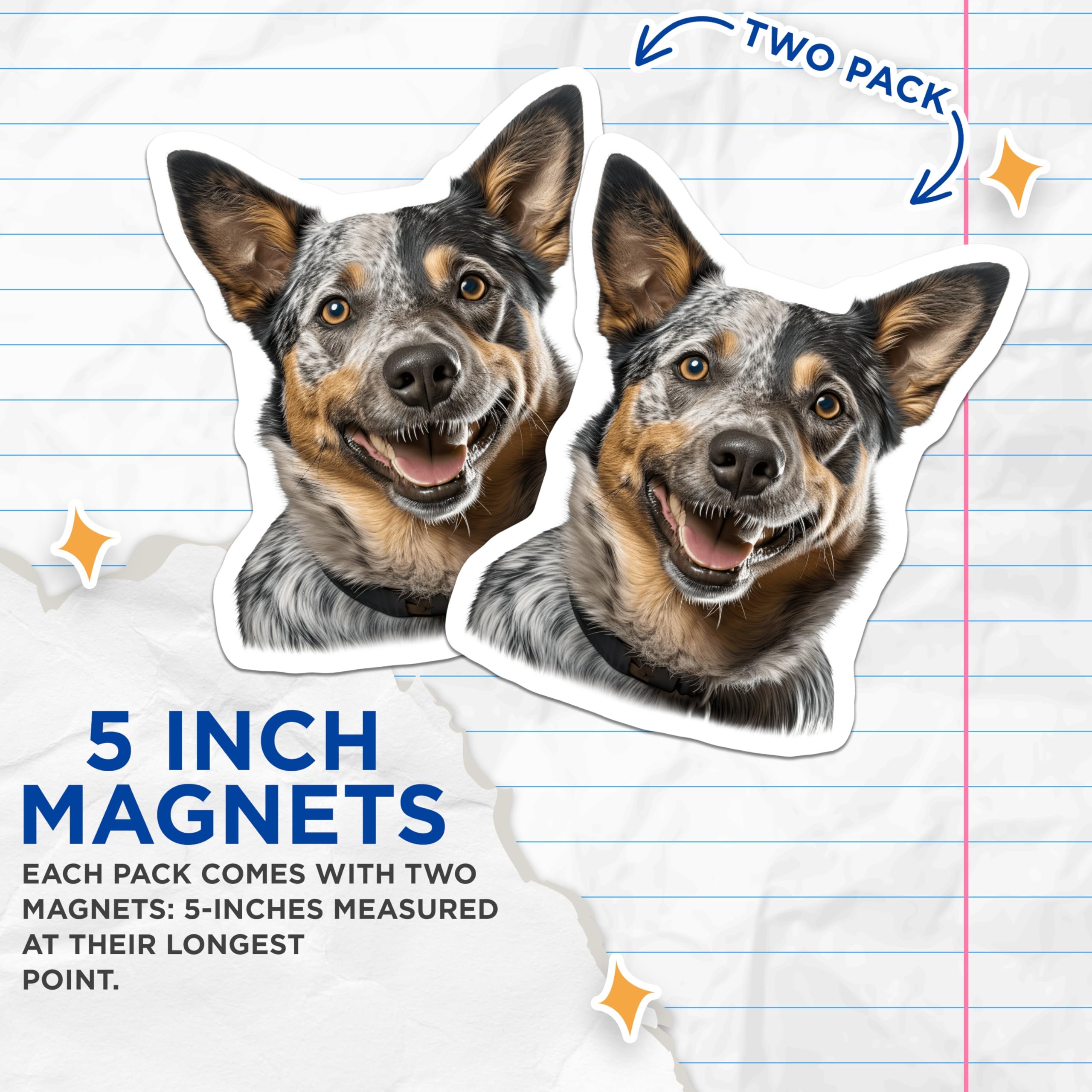 (2 Pack) Australian Cattle Dog Magnets - Blue Heeler Smiling - Happy Dog Lover Kitchen Decor - 5 Inches On Longest Side - Thick Durable Magnet - Made in USA - MAG29334