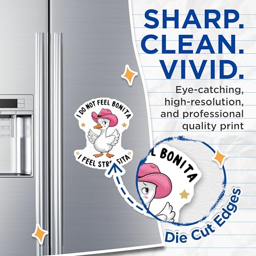 (2 Pack) Funny Duck Magnets - I Do Not Feel Bonita - I Feel Stressita - Cute Animal Magnets - Fridge - Office Magnets - 5" On Longest Side - for Cars, Fridges, Toolboxes - Made in USA - MAG4607