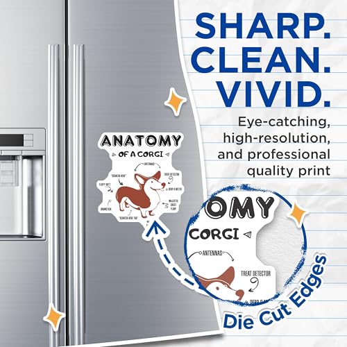 (2 Pack) Anatomy of A Corgi Magnets Magnets - Funny Dog Magnet - Dog Lover Decor for Home - 5" On Longest Side - Made in USA - Sticks to Refrigerators & Metal Surfaces - MAG8512