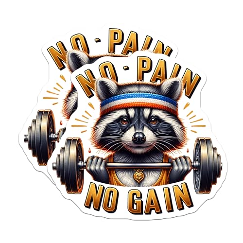 (2 Pack) No Pain No Gain Stickers - Racoon Gym Theme Stickers - Motivational Fitness Stickers - 5" On Longest Side - Sticks to Smooth Flat Surfaces - Made in USA - BMCS4531