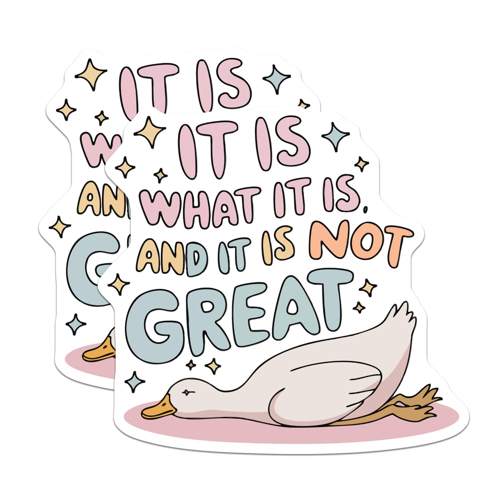 (2 Pack) Funny Duck Quote Magnets - It is What It is and Not Great - Relatable Mood Fridge Locker Office Accessory - 5 Inches On Longest Side - Thick Durable Magnet - Made in USA - MAG21407