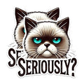 (2 Pack) Cat Meme Magnets - Seriously Funny Magnets - Humor Magnet Pack- 5" On Longest Side - for Fridges, Toolboxes, Cars - Made in USA - MAG2793