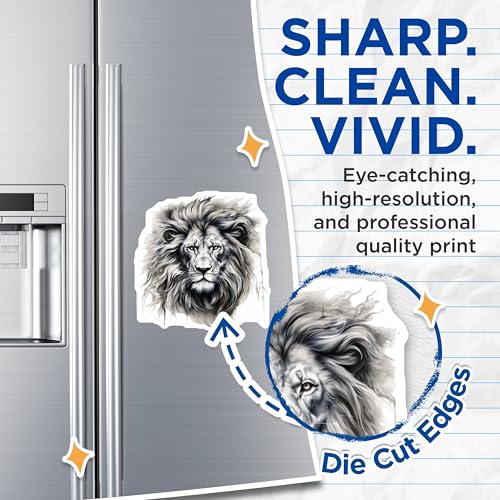 (2 Pack) Lion Art Magnets - White Lion - Animal Magnets - Wildlife - 5" On Longest Side - for Cars, Fridges, Toolboxes - Made in USA - MAG4263