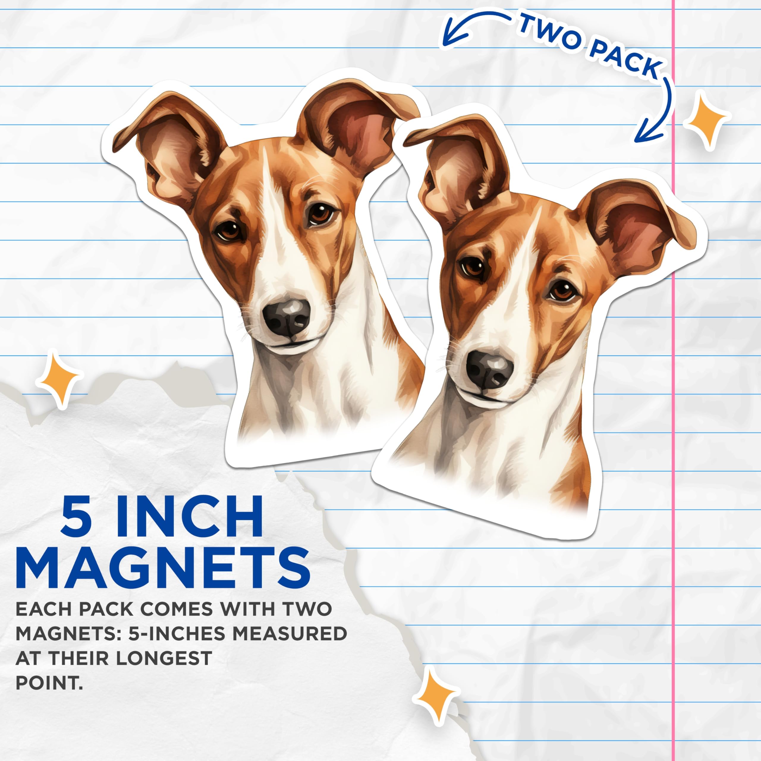 (2 Pack) Jack Russell Terrier Magnets - Dog Art Refrigerator Decor - Pet Lover Kitchen Accessories - 5 Inches On Longest Side - Thick Durable Magnet - Made in USA - MAG23399