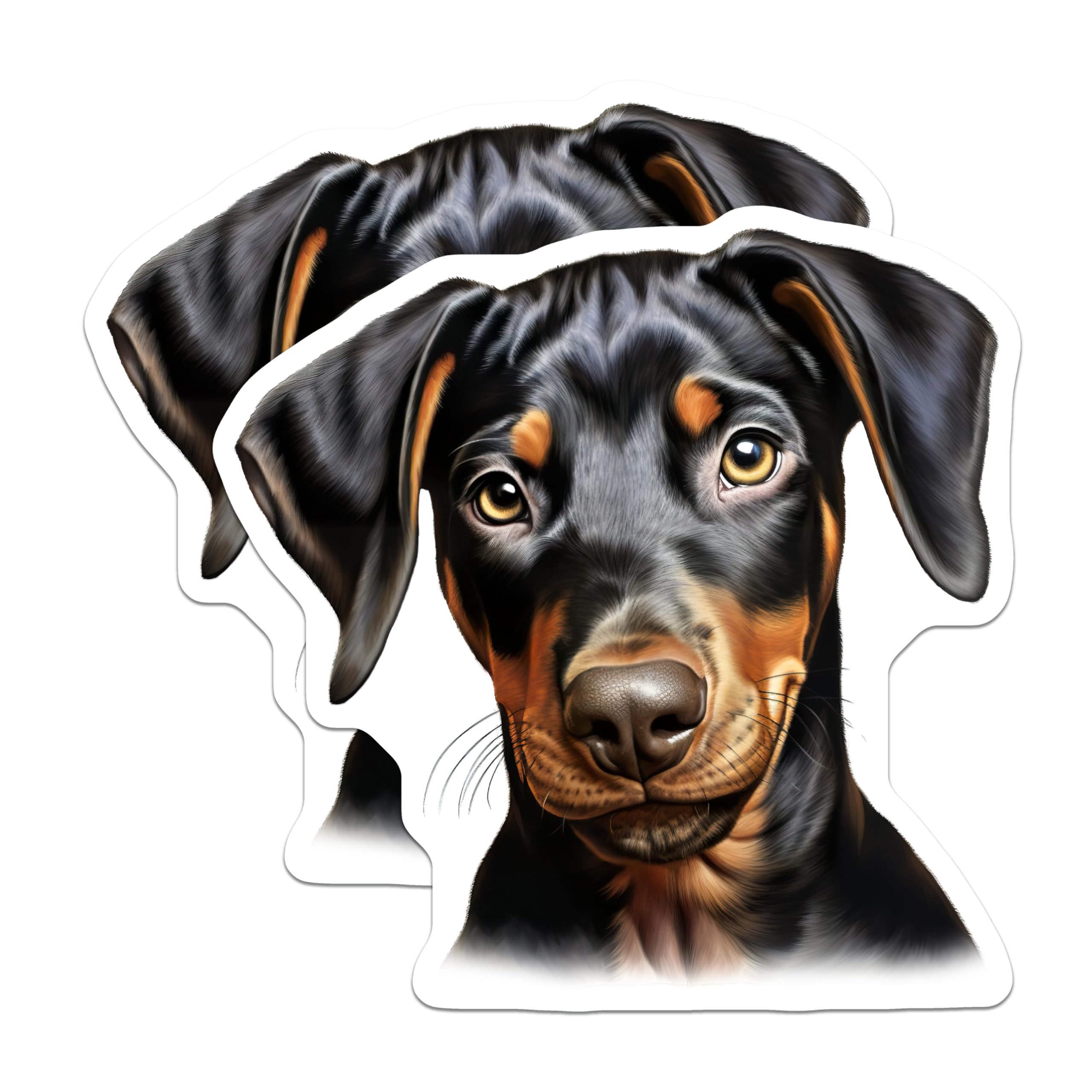 (2 Pack) Doberman Puppy Magnets - Adorable Doberman Dog Art - Pet Lover Fridge Decor - Canine Companion Home Accent - 5 Inches On Longest Side - Thick Durable Magnet - Made in USA - MAG24894