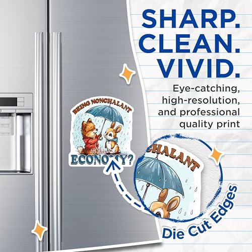 (2 Pack) Being Nonchalant in This Economy Magnets - Cute Animal Magnets - Inspirational Magnets for Refrigerator - 5" On Longest Side - for Cars, Fridges, Toolboxes - Made in USA - MAG4346