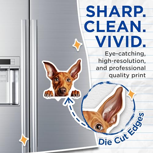 (2 Pack) Animal Lovers Magnet - Home Decoration - Office Fridge Accessories - 5" On Longest Side - Sticks to Smooth Flat Surfaces - Made in USA - MAG10248