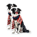 (2 Pack) Border Collie American Flag Magnets - Patriotic Dog Lover Decor - USA Pride Pet Art - Memorial Day - 5 Inches On Longest Side - Thick Durable Magnet - Made in USA - MAG37125