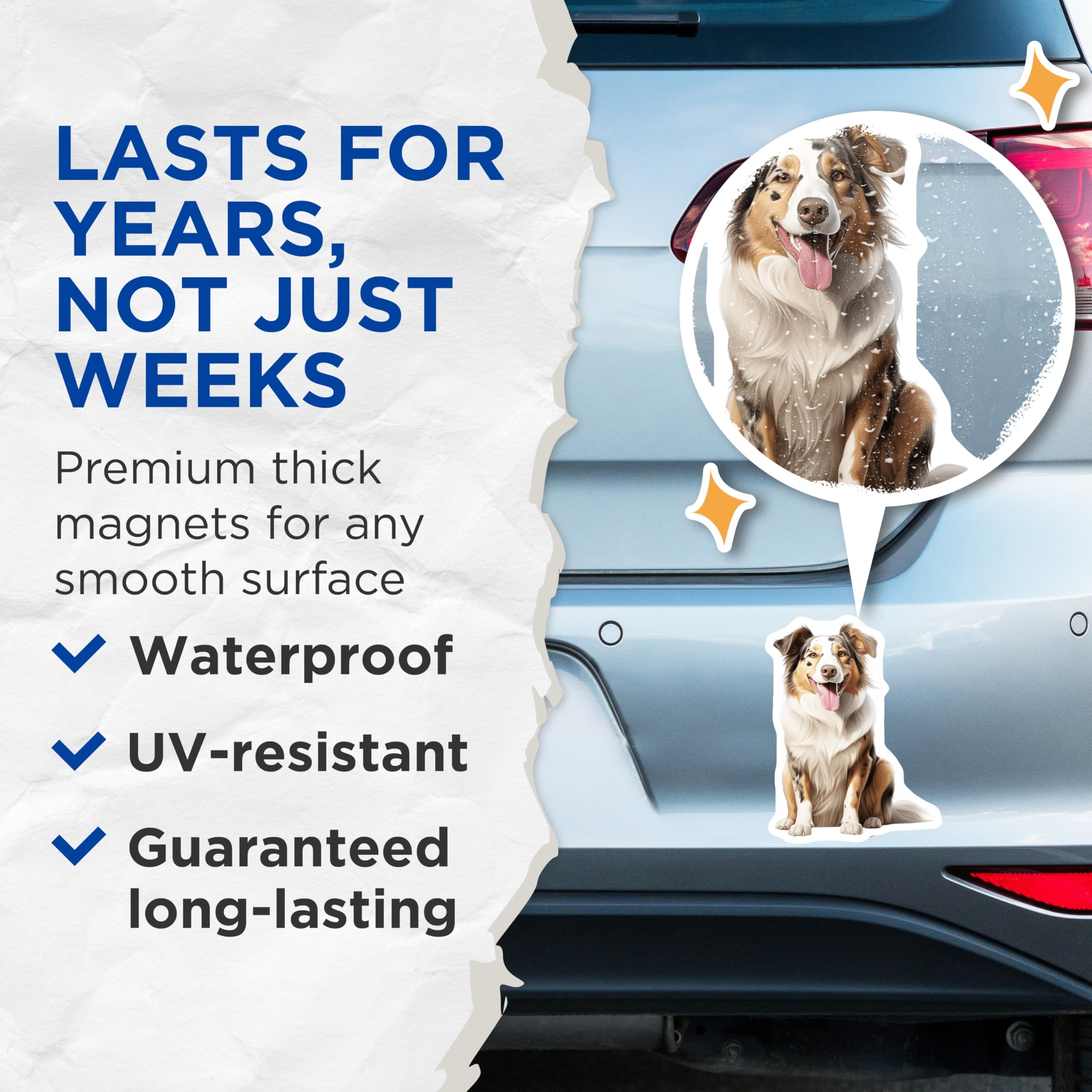 (2 Pack) Australian Shepherd Magnets - Dog Lover Decor - Pet Owner Present - 5 Inches On Longest Side - Thick Durable Magnet - Made in USA - MAG26185