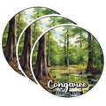 (3 Pack) Congaree National Park Decals - Swamp Landscape - Nature Scene Decal - 3 Inches On Longest Side - Easy Peel & Apply - Made in USA - 3MCS0495