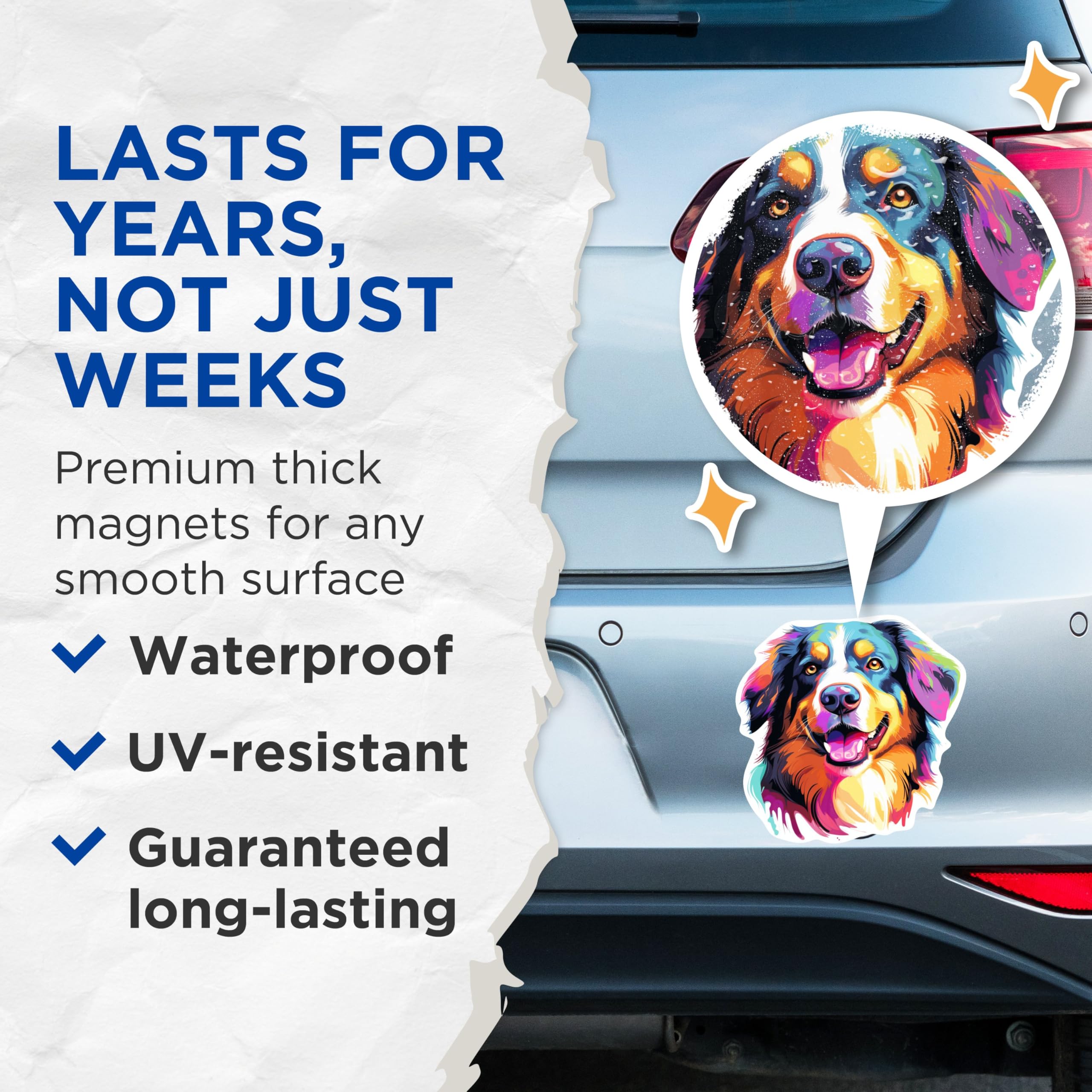 (2 Pack) Bernese Mountain Dog Breed Magnets - 5 Inches On Longest Side - Choose from Over 100 Dog Breeds - for Cars, Refrigerators, Toolboxes - Made in USA - MAG1777